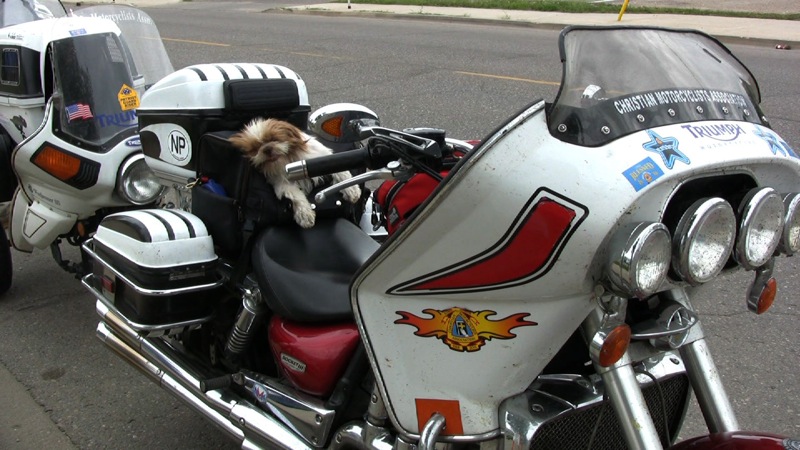 Terry Wildeman/For the Sun
A dog gets some rest on the seat of a Triumph motorcycle during the Christian Motorcycle Association âNo Bordersâ rally.
