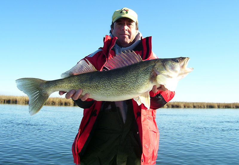 Submitted
An unidentified man holds up his catch of the day in this undated photo, courtesy of the Dauphin Economic Development & Tourism office. It's not just the fish that are jumping in Dauphin -- so are the number of votes nominating the city for Canada's Best Fishing Town. But those votes jumped a little too high when false email addresses were used to increase the tally.