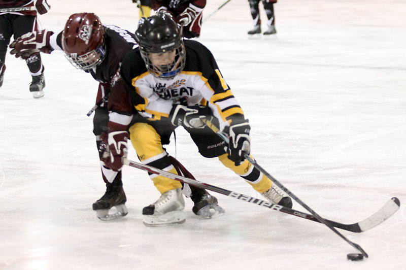 Brandon teams open AAA tourney with wins Brandon Sun