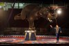 File photo
The Brandon Police Association and the Brandon Professional Firefighter/Paramedics Association are offering evacuees free tickets to the Shrine Circus’ afternoon performance on Saturday.