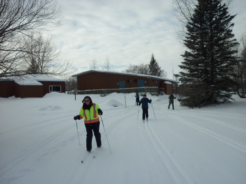 Hit the trails at Spruce Woods Provincial Park Brandon Sun