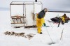 Jessica Burtnick / Winnipeg Free Press
Frank Kenyon (left and below) and helper Randy Strawa pull in one of 45 gill nets they have set in Portage Bay on Lake  Manitoba. Up to half of the fish they catch will simply be left on the ice to feed the ravens.