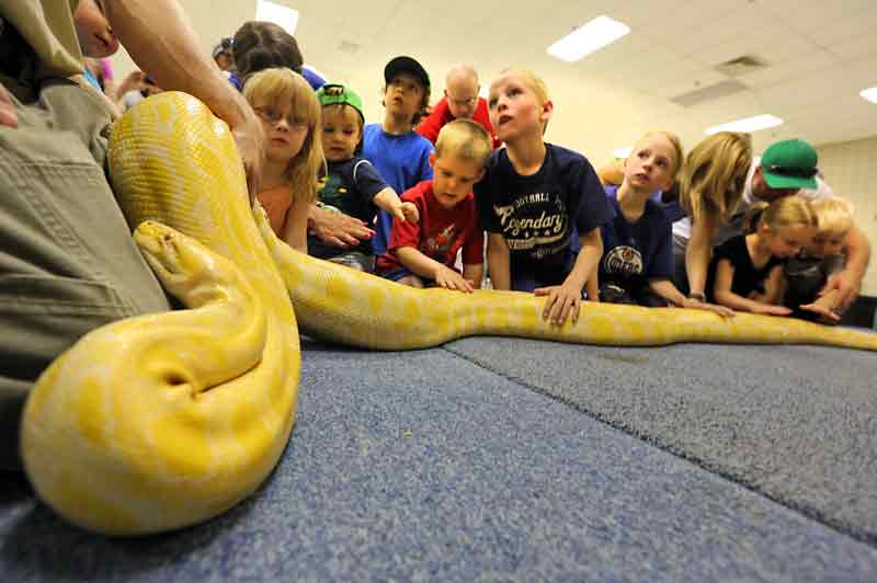 Reptile zoo teaches lesson about endangered species Brandon Sun