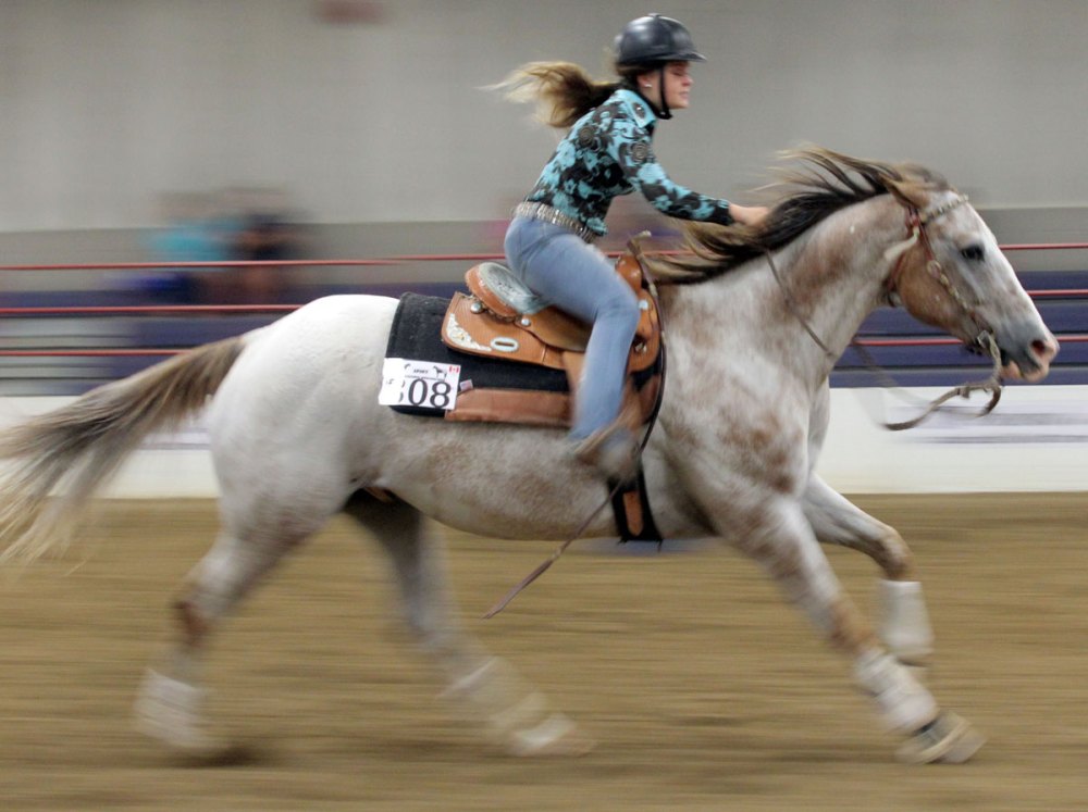 Colin Corneau
Miranda Dunn competes in barrel racing during the first day of the Canadian National Appaloosa Show in the Keystone Centre on Thursday.