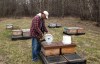 Submitted
Will Clark, owner of the Rivercrest Honey Farm, feeds sugar syrup to one of his hives at a site located south of Brandon. Clark says the cold spring has been hard on bees, as trees and flowers have yet to create nectar.