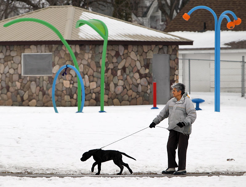 Pet’s Best Friend Animal rescues can help you find ideal pet