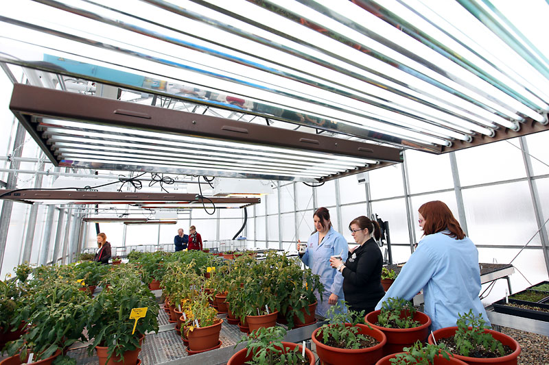 ACC launches new food security program Brandon Sun