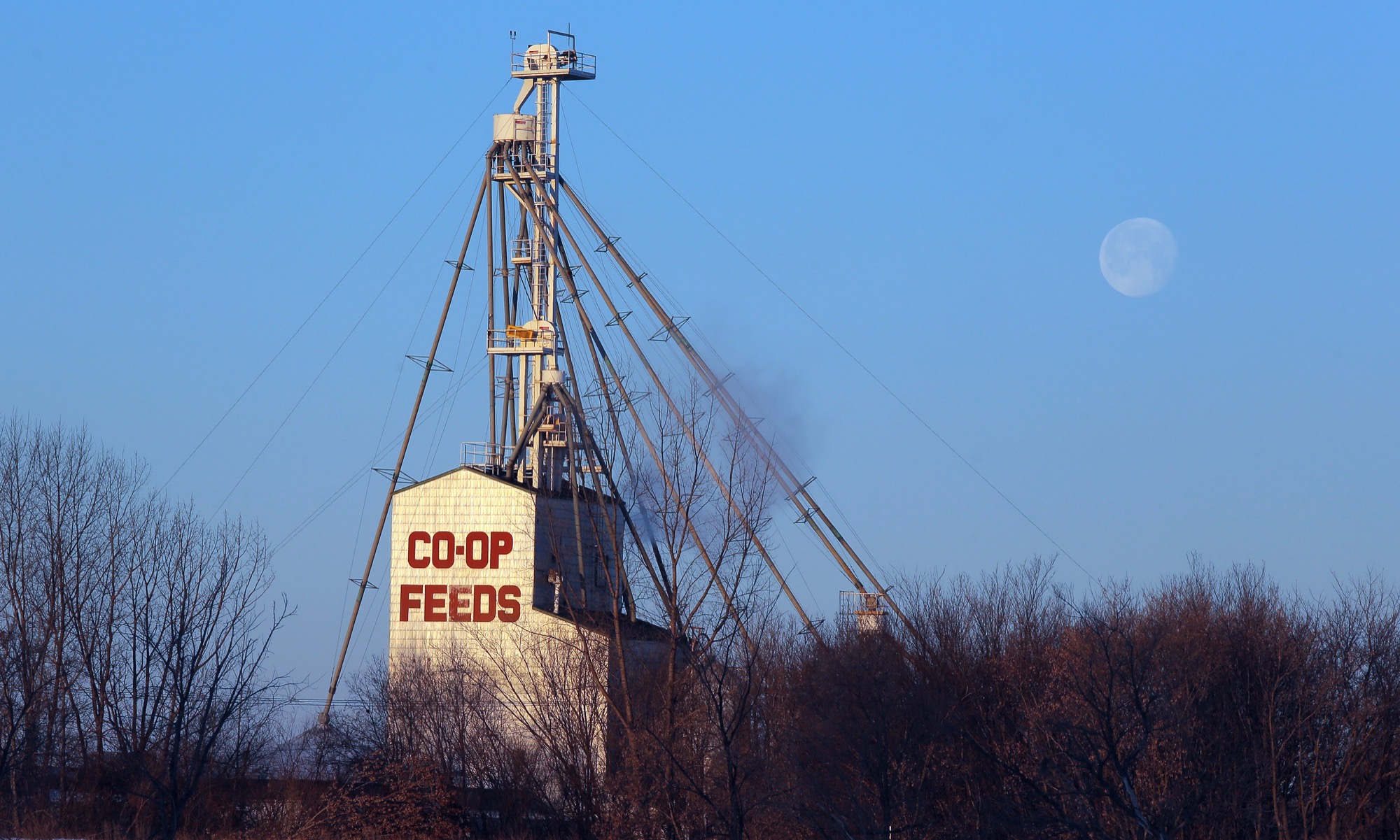 Brandon Coop plant to close Brandon Sun