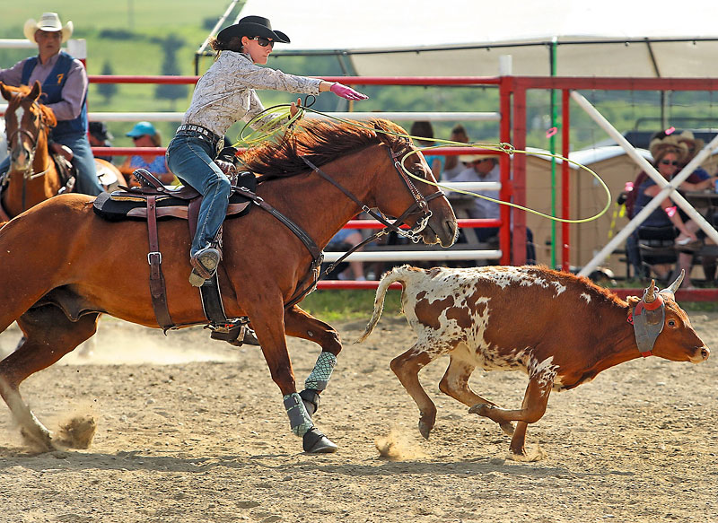 Colin Corneau/Brandon Sun
Lena Gardiner tosses a lasso during a calf roping event at the annual Minnedosa Rodeo on Saturday evening. The event featured Heartland Rodeo, a petting zoo, evening barbecue and more.