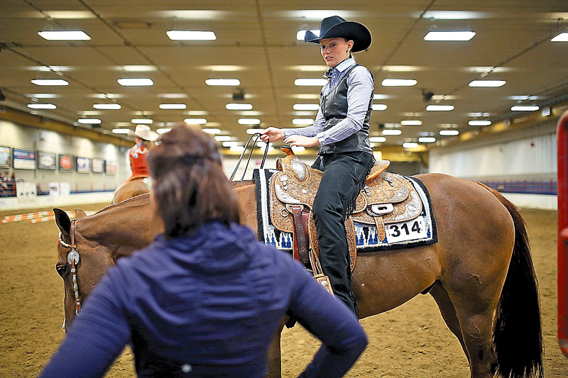 Quarter horse show a holiday tradition Brandon Sun