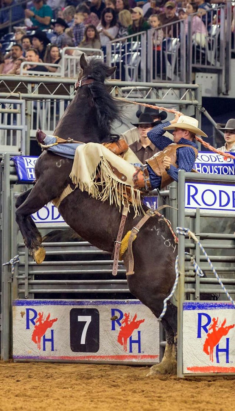 Brothers riding on rodeo’s big stage – Brandon Sun