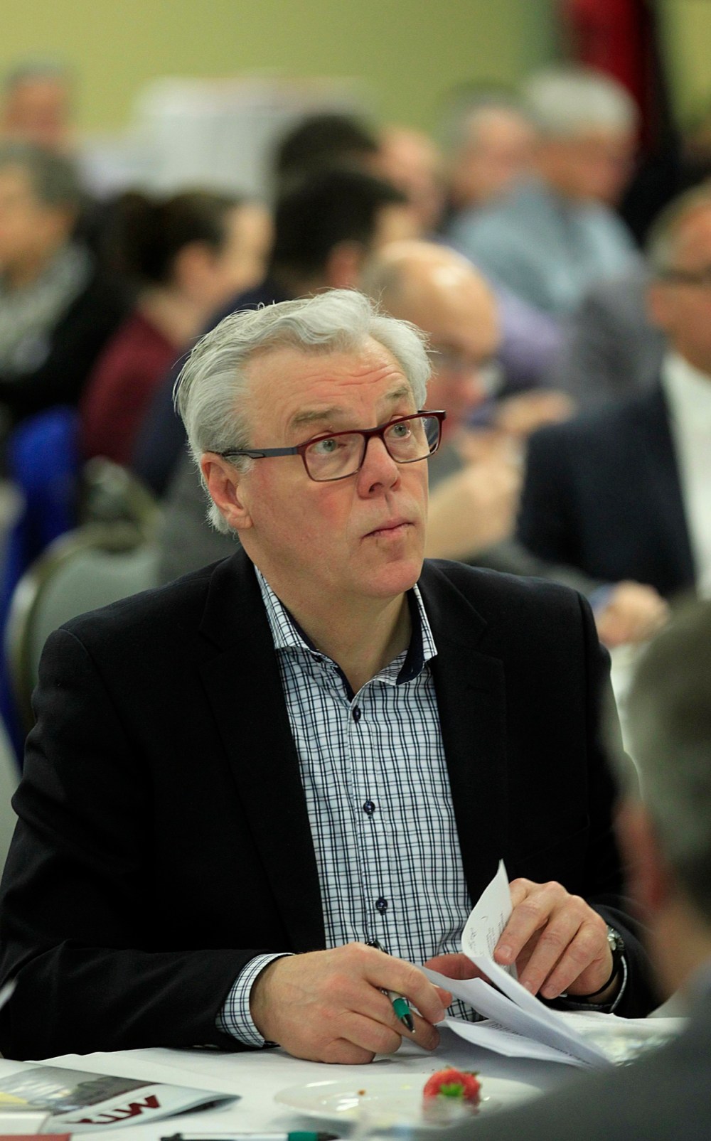 Selinger repeats vow of tax breaks for families – Brandon Sun
