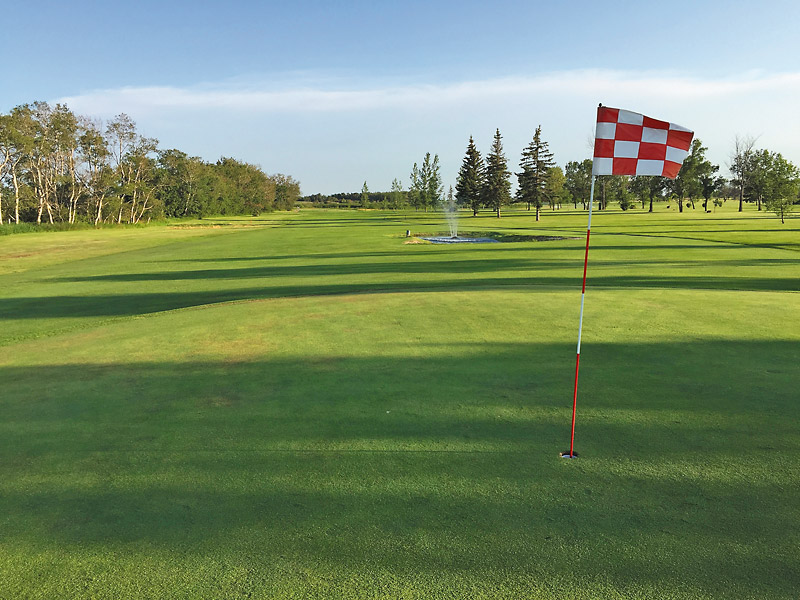 OUT OF BOUNDS Hamiota dares golfers to gamble Brandon Sun
