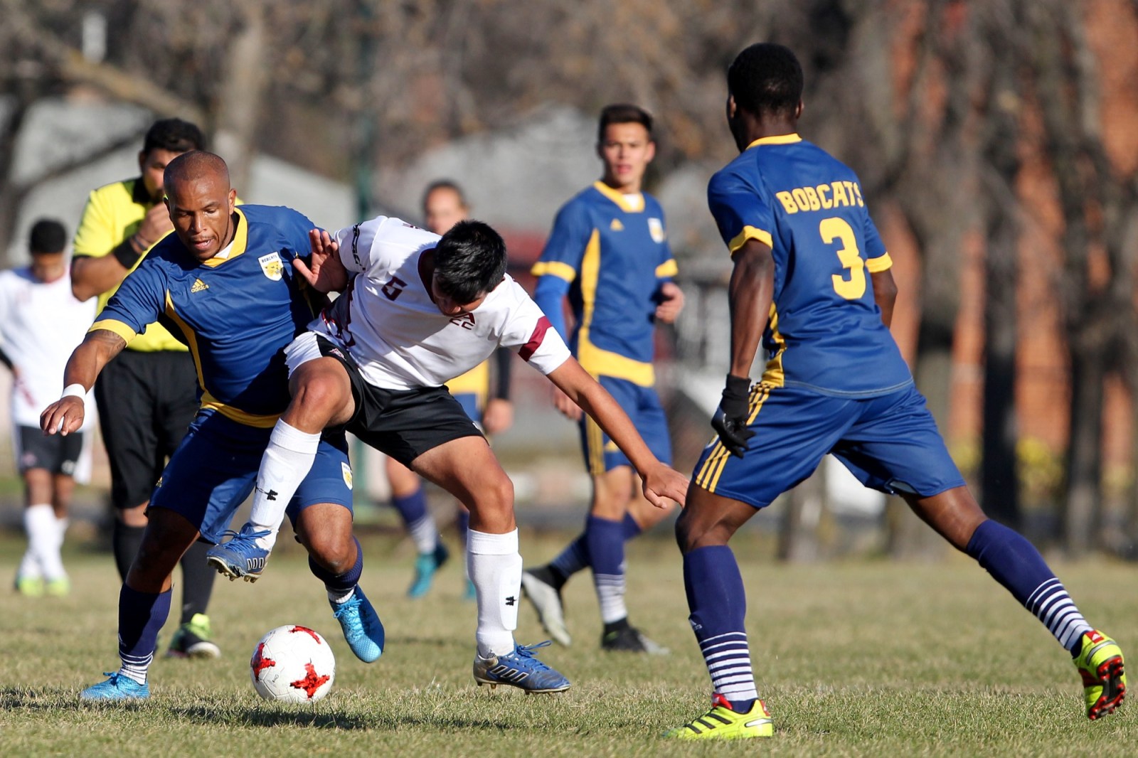 Homecoming bash draws hundreds – Brandon Sun