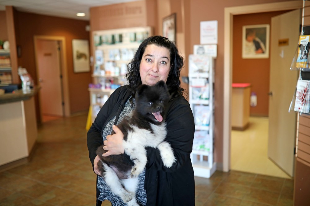 Veterinarians are worried about pets and legal pot Brandon Sun