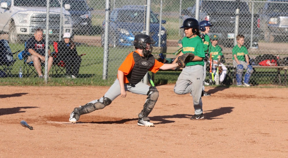 Mosquito playdowns have Giant presence in Hamiota Brandon Sun