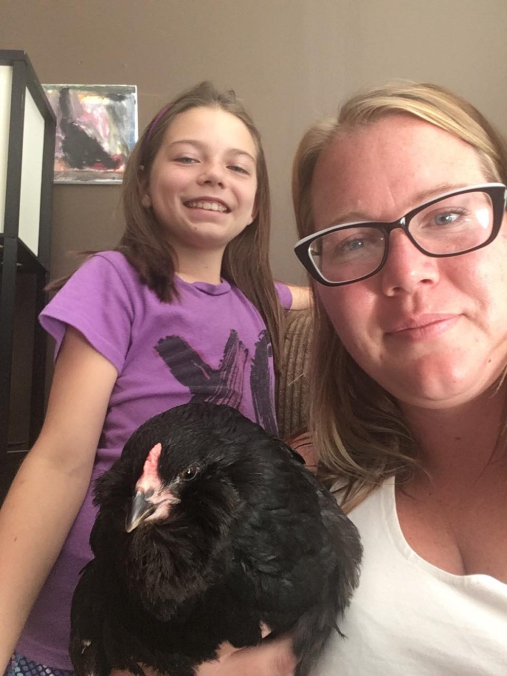 Chicken right at home as family pet Brandon Sun