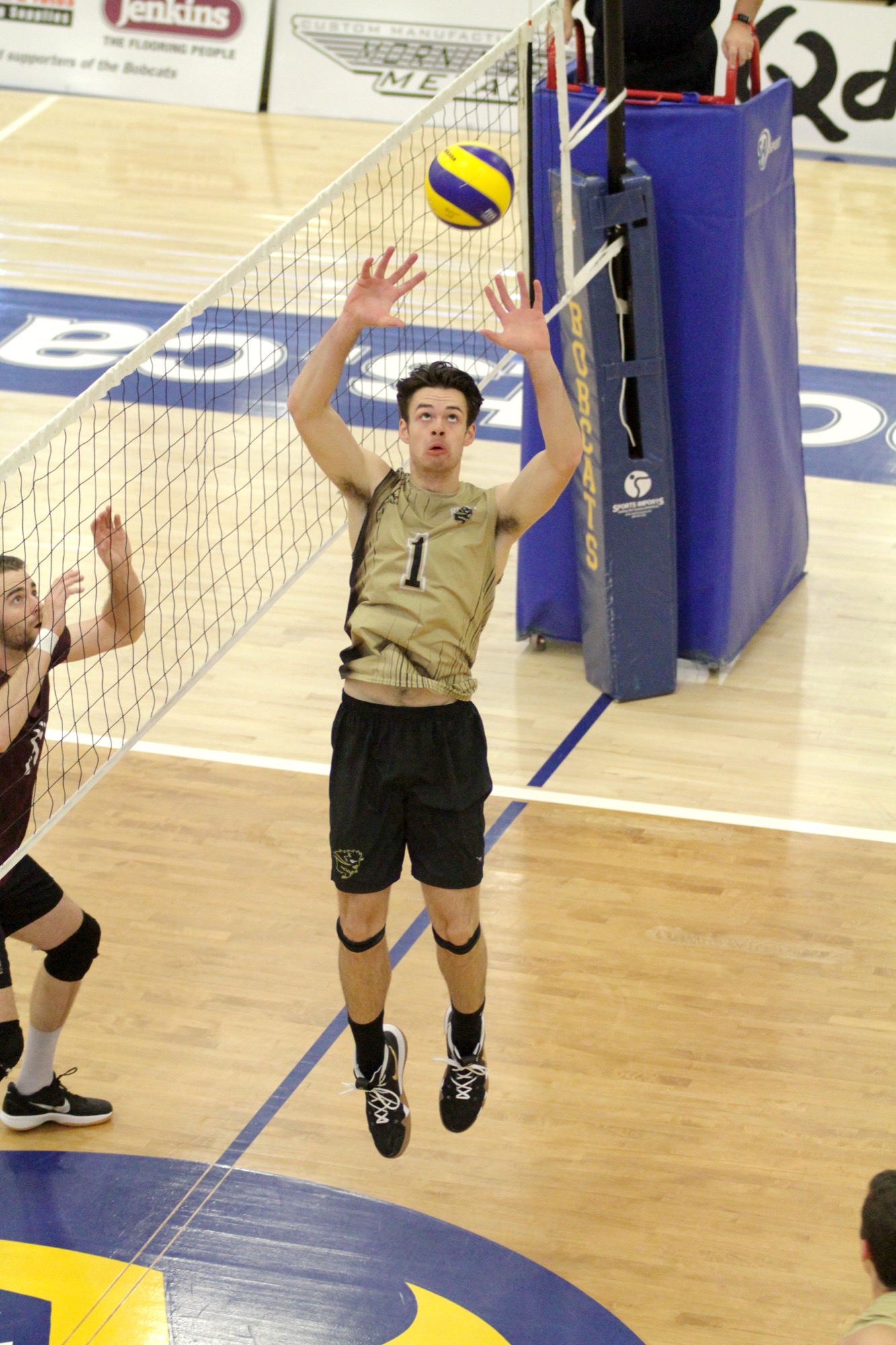 Sutherland has high hopes for future Brandon Sun