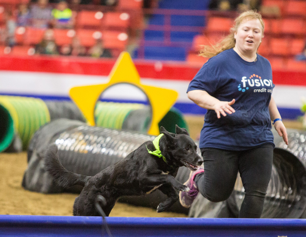 Jackie Sage and her dog Maple compete in the Prairie Ram Retailers Dog/Horse Relay at the Royal Manitoba Winter Fair Wednesday evening. (Chelsea Kemp/The Brandon Sun)