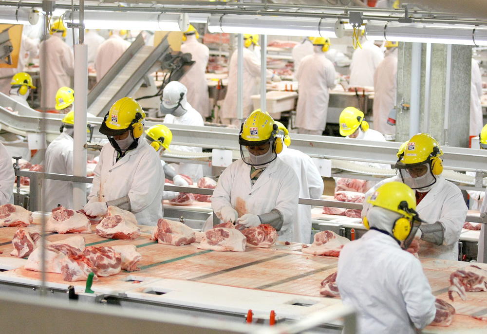 Bruce Bumstead/Brandon Sun
Maple Leaf Foods employees work at Brandon’s hog processing plant cutting floor. The facility is coming up short on both employees and hogs, according to Maple Leaf head of recruiting and hiring Susan Yeager in a recent interview with Reuters. (File)