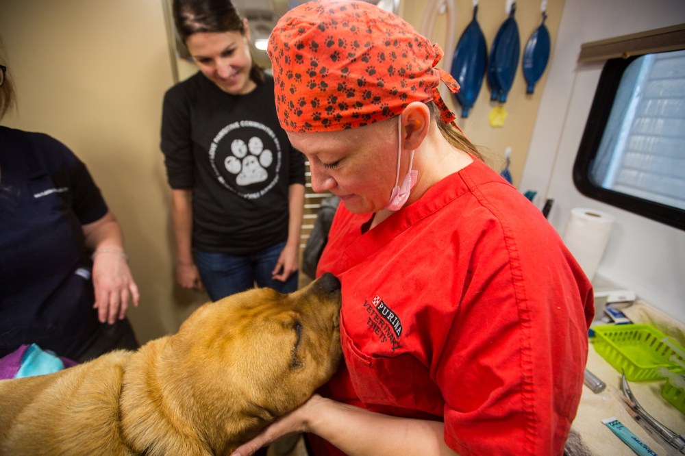 Pawsitive snip in the right direction Brandon Sun