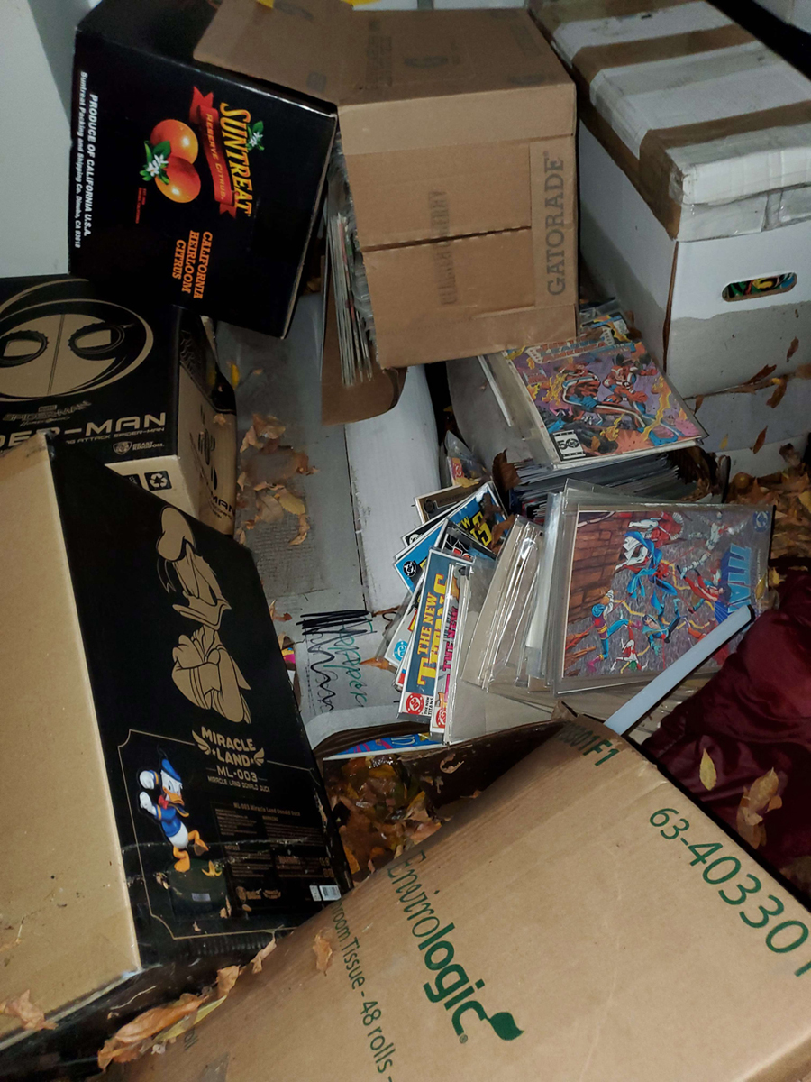 Destruction caused by a basement flood in Friendly Neighborhood Comic Shop owner Scott Bradley�s house. (Submitted)
