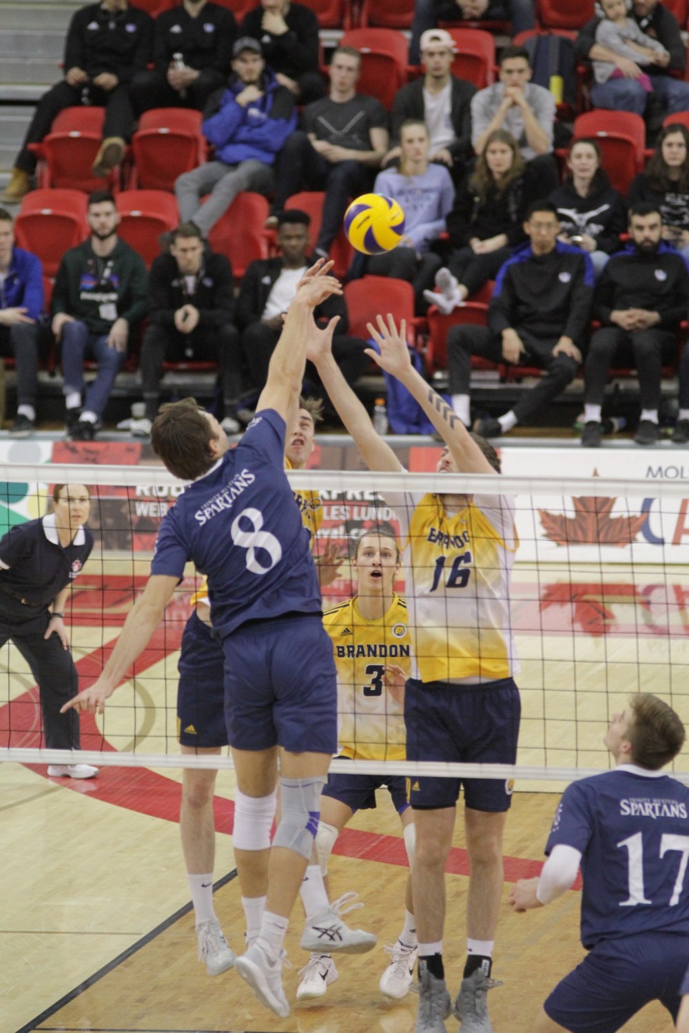 Gradepoint anecdotes — Flawed system prevents best men’s volleyball