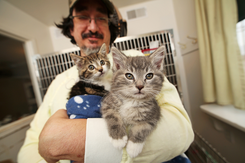 Abandoned kittens undiscovered for days Brandon Sun