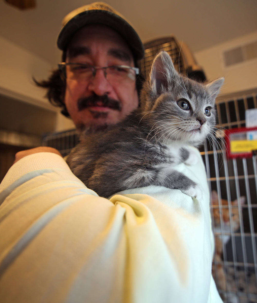 Abandoned kittens undiscovered for days Brandon Sun