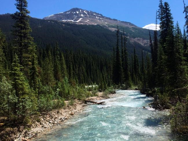 The Yoho River through Yoho National Park in Canada's stretch of the Rocky Mountains, straddling the border of British Columbia and Alberta, is shown on July 6, 2017. On Tuesday, amendments to the Canadian Environmental Protection Act were passed into law, including a guarantee that every Canadian has the right to a healthy environment and that it is the government’s duty to protect that right. (File)