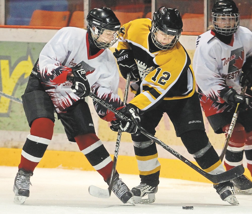 Hockey Brandon unveils U15 AAA team Brandon Sun