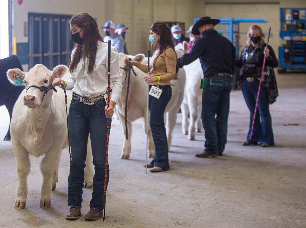 Chelsea Kemp/The Brandon Sun
Competitors line up for the Little Lady Classic at Ag Ex Wednesday.