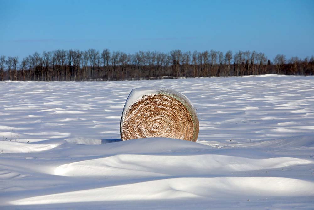 Snowfall ‘encouraging’ for farmers KAP Brandon Sun