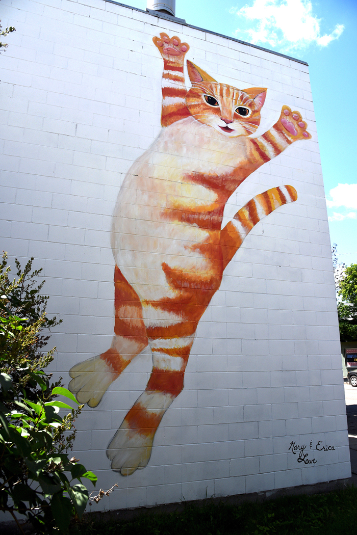 Block party planned to celebrate murals Brandon Sun