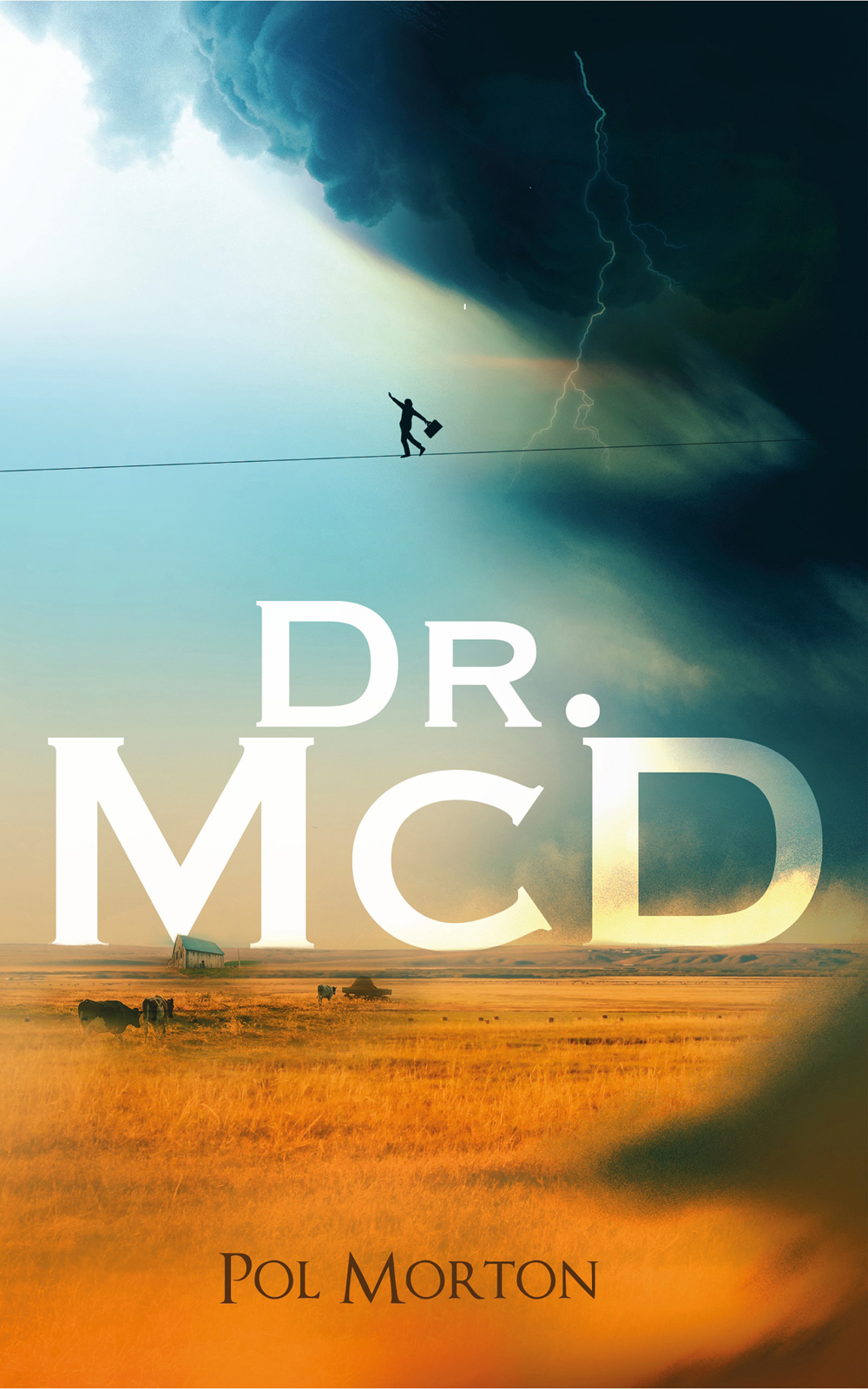 Doctor pens novel about physician burnout Brandon Sun