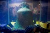 The ship's bell from the recently discovered Franklin Expedition shipwreck HMS Erebus sits in pure water after being recovered in Ottawa on November 6, 2014. Parks Canada and the Inuit Heritage Trust have come to an agreement on how the artifacts from the ill-fated Franklin expedition will be preserved and studied. The agreement requires that artifacts from the wrecks of HMS Erebus and HMS Terror will be protected based on traditional Inuit knowledge, or Inuit Qaujimajatuqangit, and presented publicly from an Inuit perspective. THE CANADIAN PRESS/Justin Tang