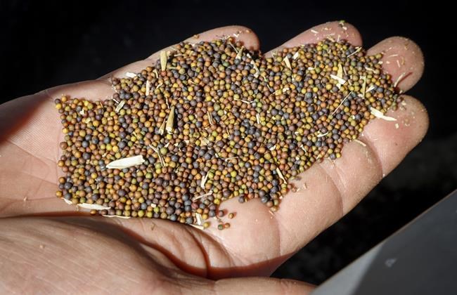 Rising tensions show why Canada’s agri‑food trade strategy must change