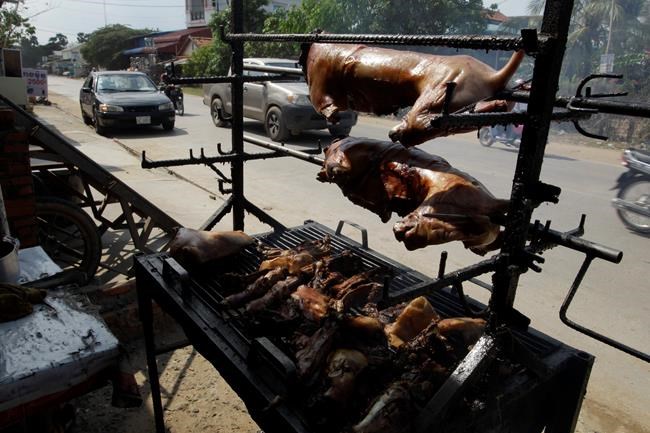 FILE - In this Mar. 30, 2017, file photo, a local vendor grills dog meat on the sidewalk on the outskirts of Phnom Penh, Cambodia. Early this week on Monday, July 6, 2020 in Siem Reap, home of the famous Angkor Wat temple complex, the local government issued a ban on the buying, selling and butchering of dogs for food. (AP Photo/Heng Sinith, File)