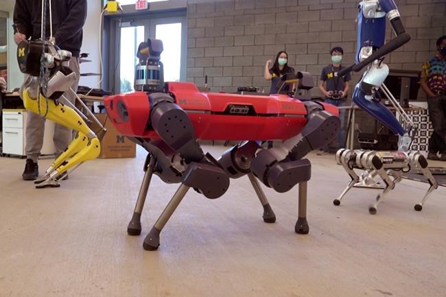In a frame grab from video, robots walk across the floor of the University of Michigan's Ford Motor Co. Robotics Building, March 12, 2021 in Ann Arbor, Mich. The four-story, $75 million, 134,000-square-foot complex has three floors that house classrooms and research labs for robots that fly, walk, roll and augment the human body. (AP Photo/Carlos Osorio)