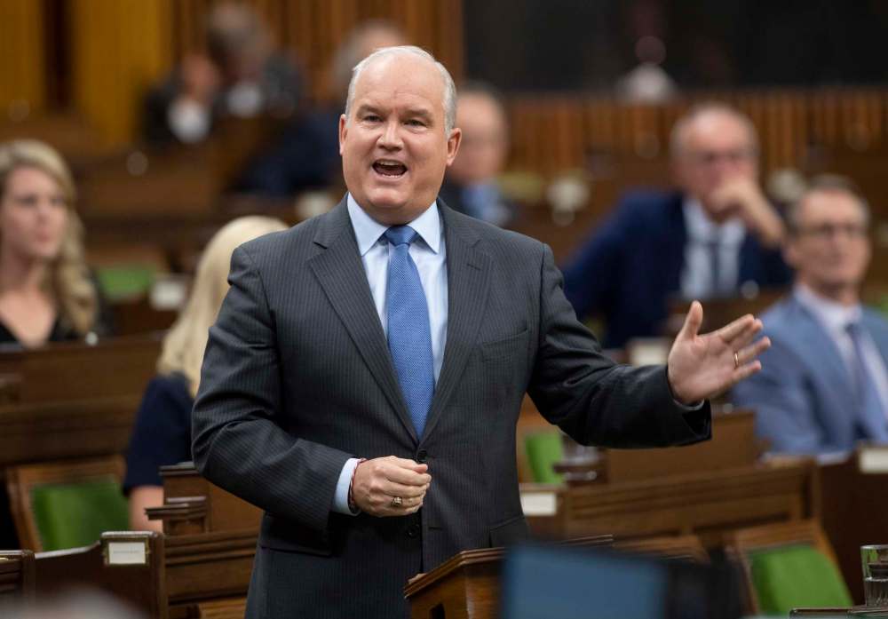 Leader of the Opposition Erin O’Toole rises during Question Period in the House of Commons on Oct. 8, in Ottawa. (The Canadian Press)