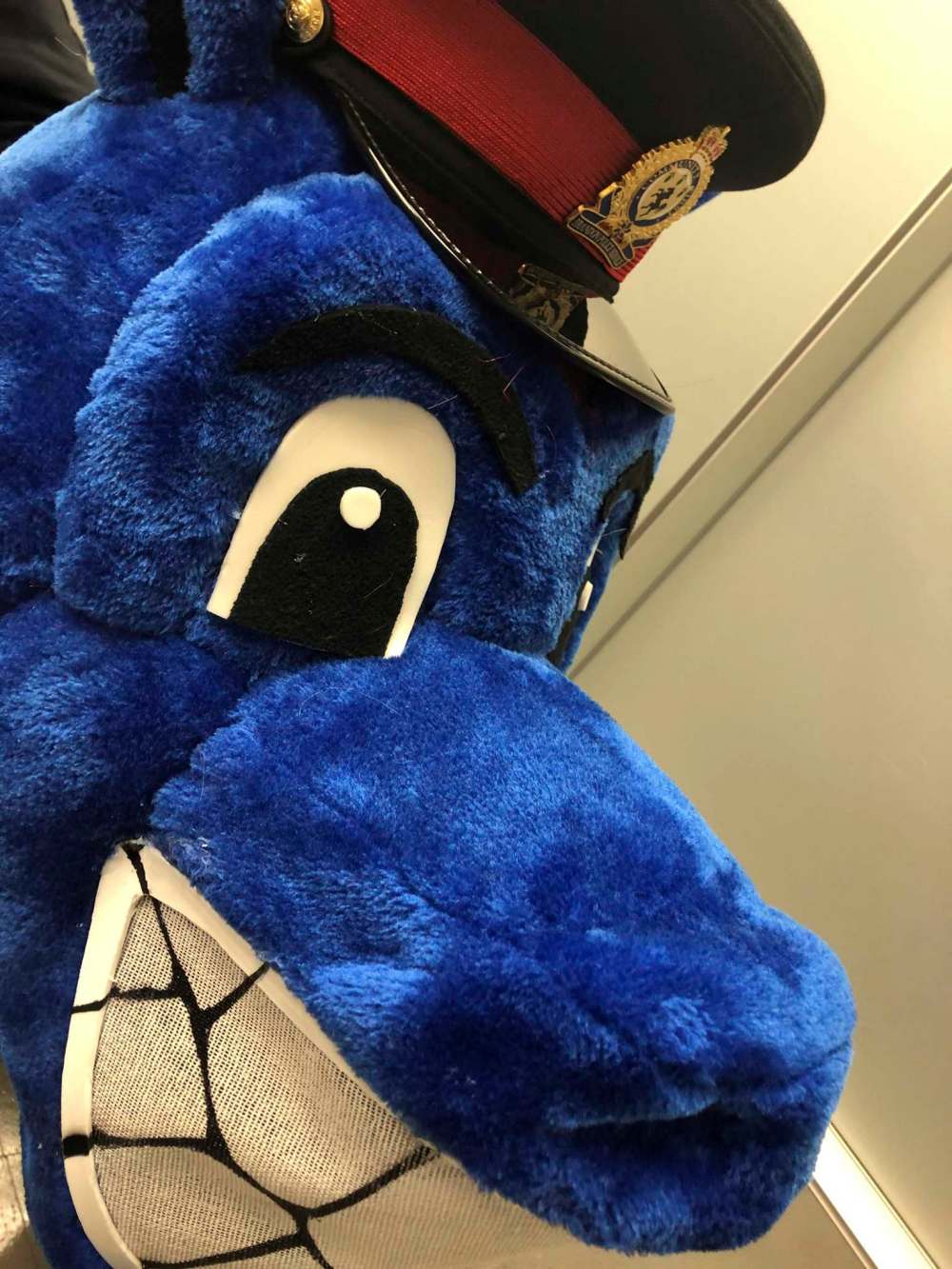 BPS mascot finally gets a name – Brandon Sun