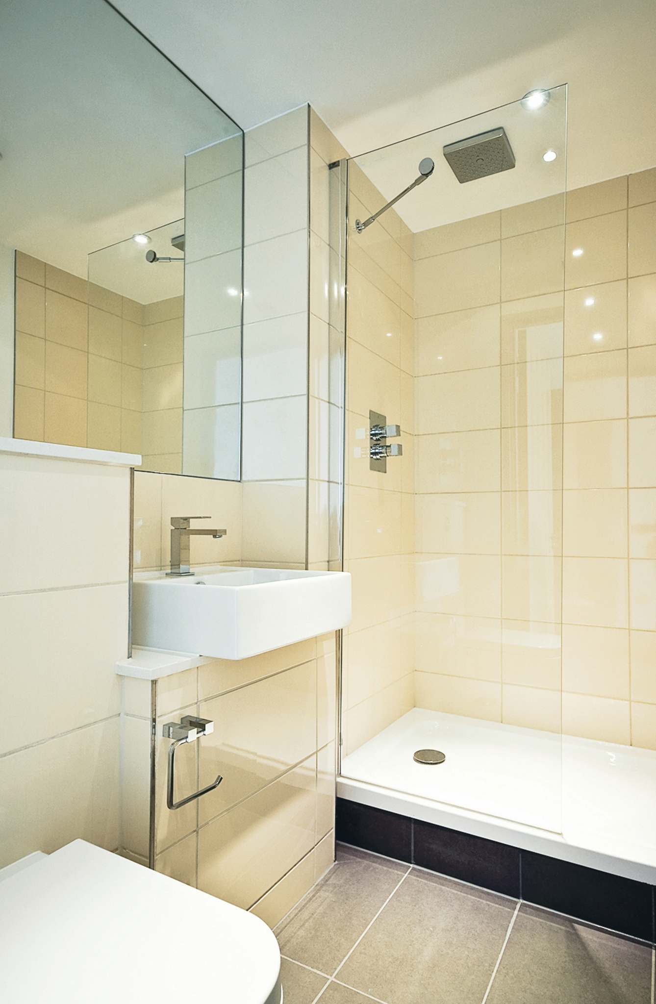 Converting alcove tubs into walkin showers pros and cons Brandon Sun