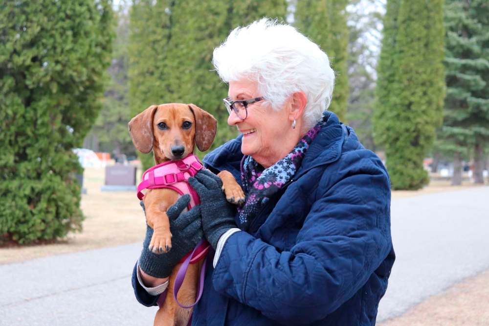 what happens if my dog eats a cigarette but Dog recovering from nicotine poisoning – Brandon Sun