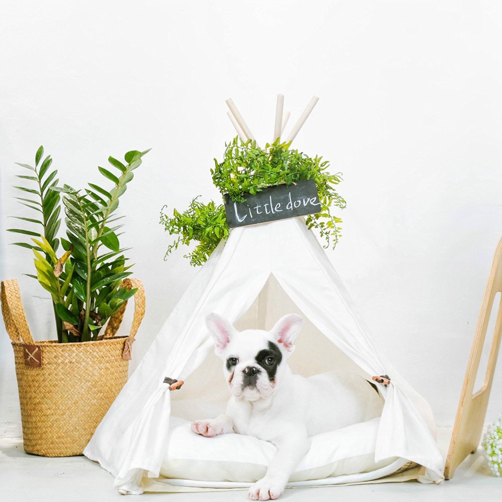 photo from Little Dove, amazon.ca
