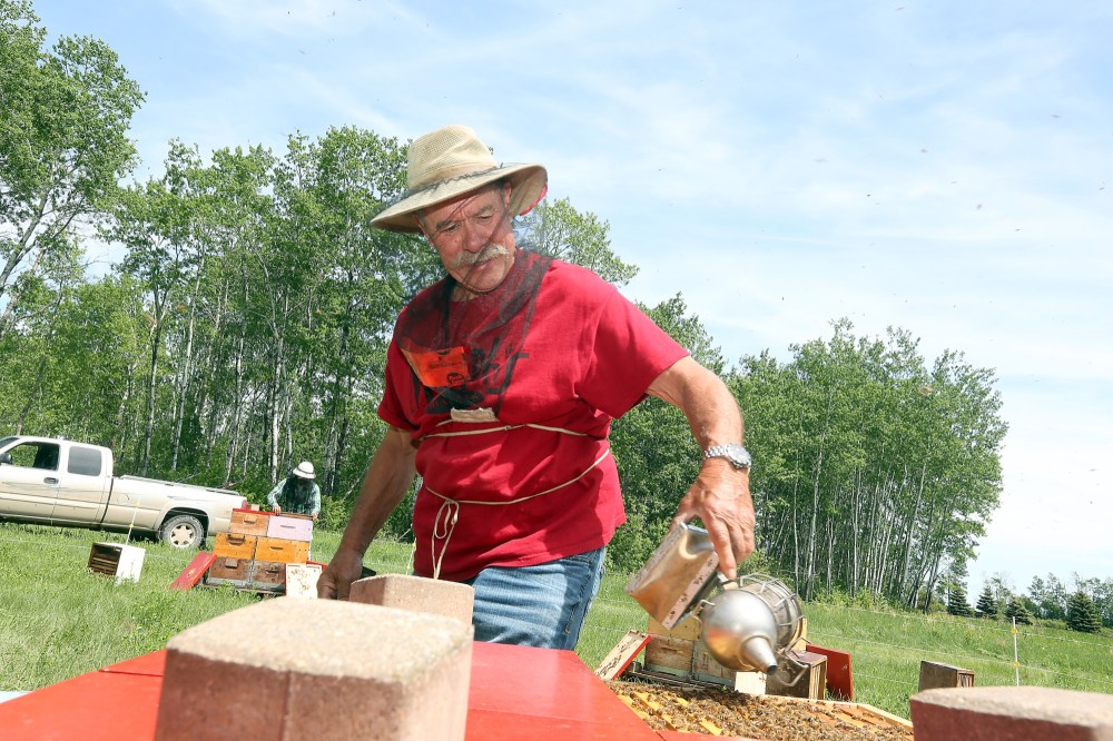 Tim Wendell, of Wendell Honey, adds some smoke to the hives in order to make his bees more docile while shifting them from winter accommodations to summer. (Tyler Clarke/The Brandon Sun)