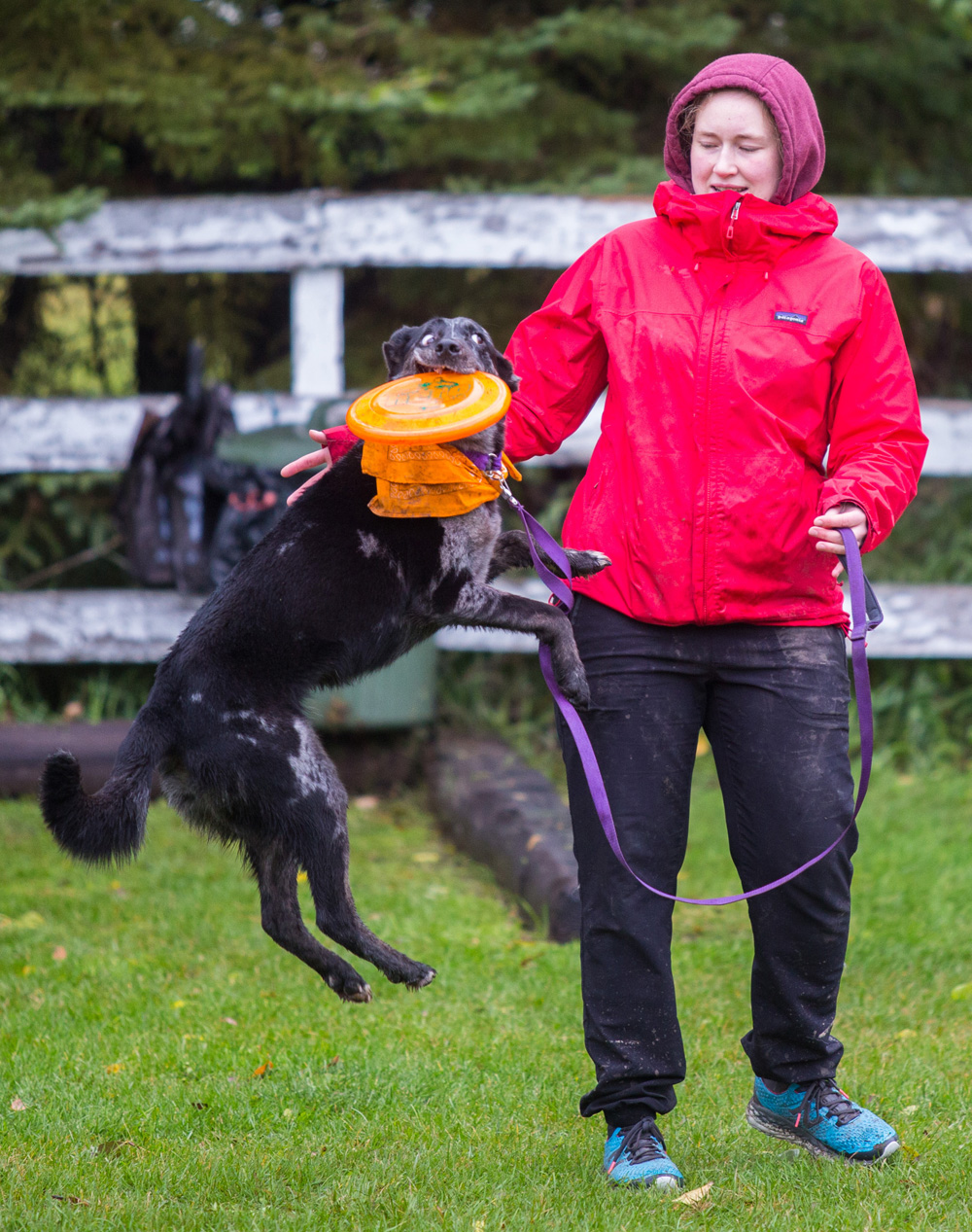 Sarah van Renselaar and her dog Davidson warm up for the Fall UpDog Trial at Crocus Obedience & Kennel Club. (Chelsea Kemp/The Brandon Sun)