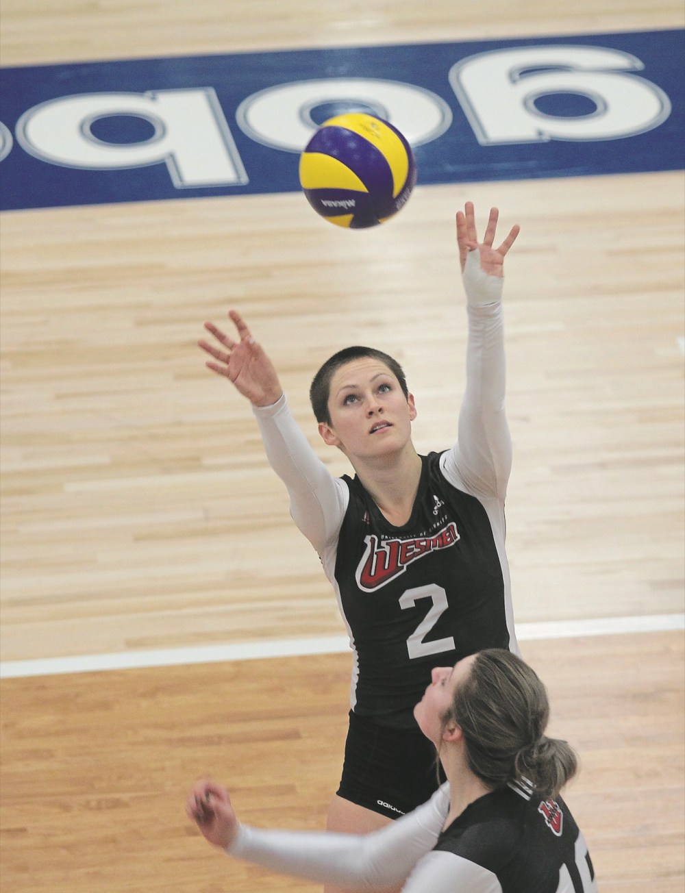 Brandon Sun file
Jayme Menzies sets the ball for the Winnipeg Wesmen at the HLC during the 2015-16 Canada West season.