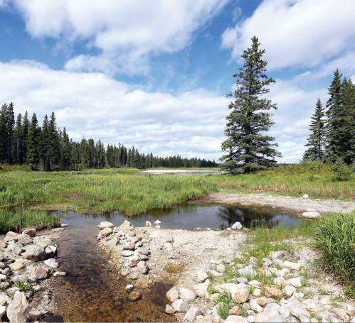 Whirlpool Lake was closed last year as a precautionary measure after zebra mussel environmental DNA was discovered in the summer and fall. While no live mussels or larvae have been found, researchers continue to test the waters to confirm if zebra mussels are in fact present and reproducing.