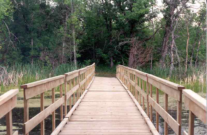 Submitted
The boardwalk along the Marsh Lake trail in the beautiful Spruce Woods provincial park.