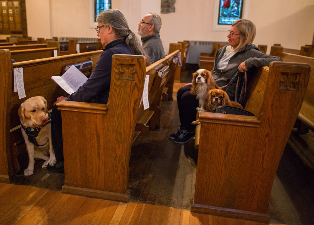 Guests attend the Blessing of the Animals service at St. Matthew's Anglican Cathedral on Thursday evening. The event celebrated the Feast of St. Francis of Assisi.  (Chelsea Kemp/The Brandon Sun)